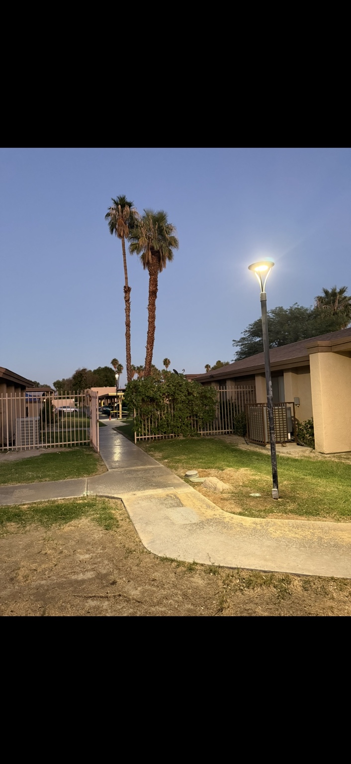 Illuminated community walkway with palms at dusk